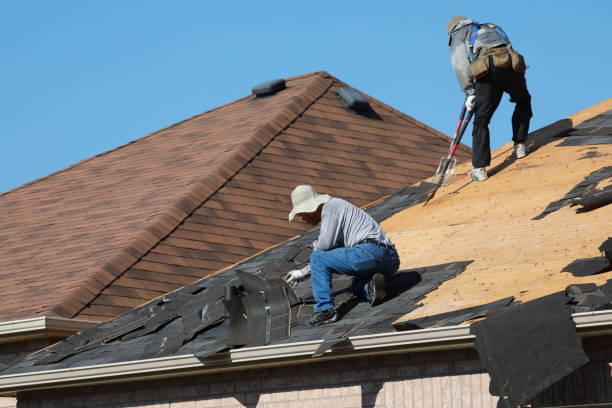 Best Roof Maintenance and Cleaning  in Pine Mountain Lake, CA